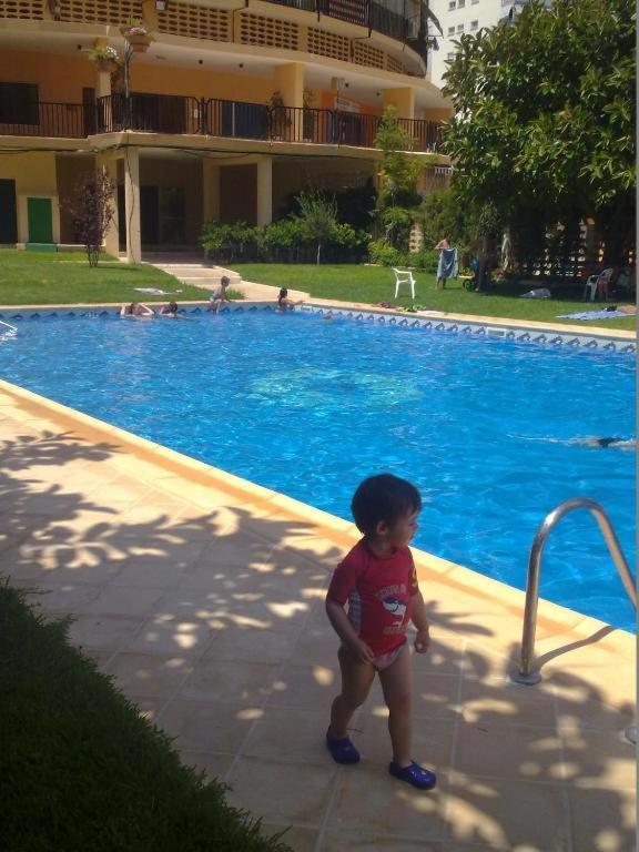 Acacias IV Daire Benidorm Dış mekan fotoğraf
